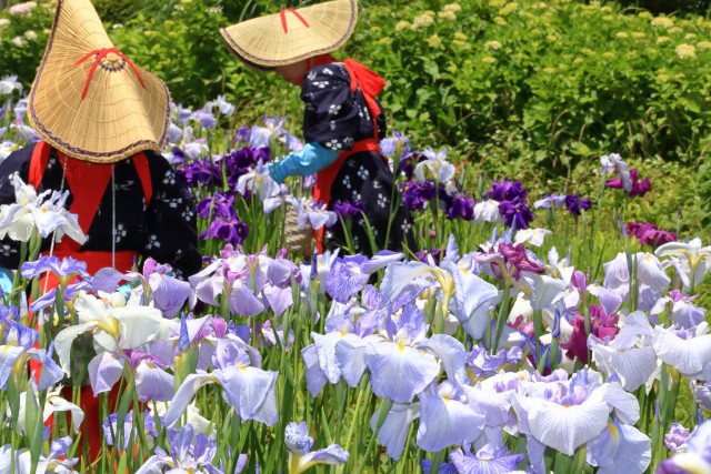 二宮せせらぎ公園